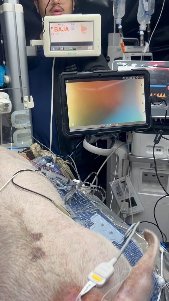 Taller de Cuidados Neurocríticos — foto 10