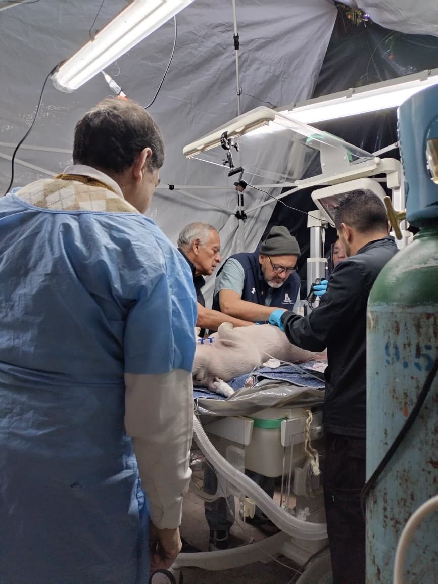 Taller de Cuidados Neurocríticos — foto 16